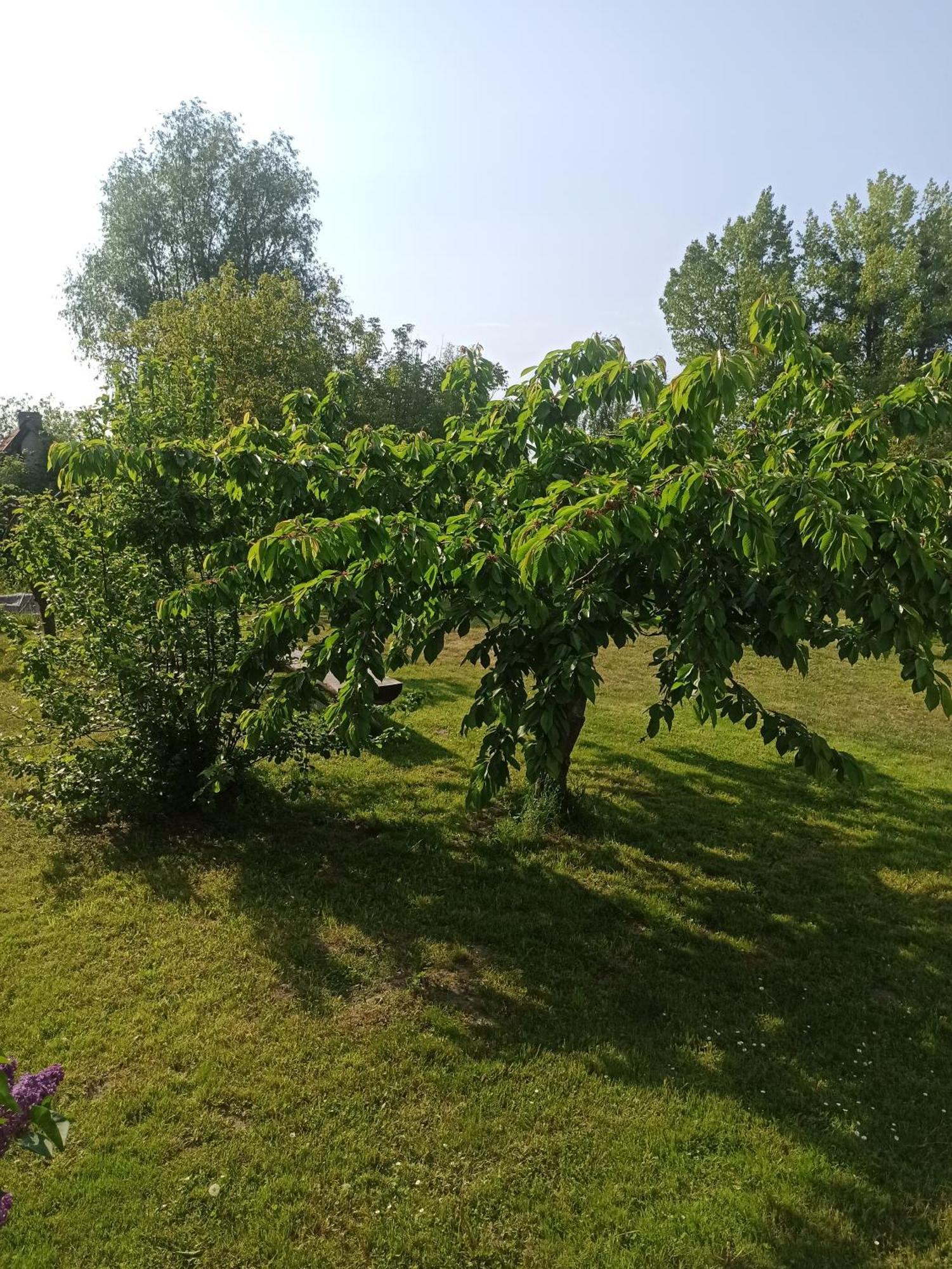 Zakatek Turysty Lodger Gdańsk